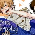 Promise Cinderella : une romance tordue mais hilarante