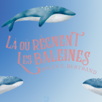 Là où règnent les baleines : que se cache-t-il sous l’eau ?
