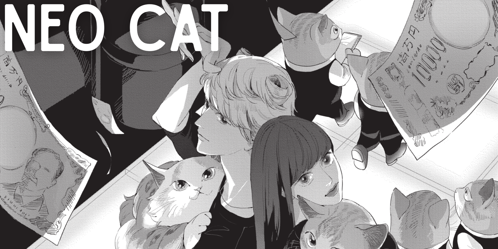 Neo cat bandeau otakonseil